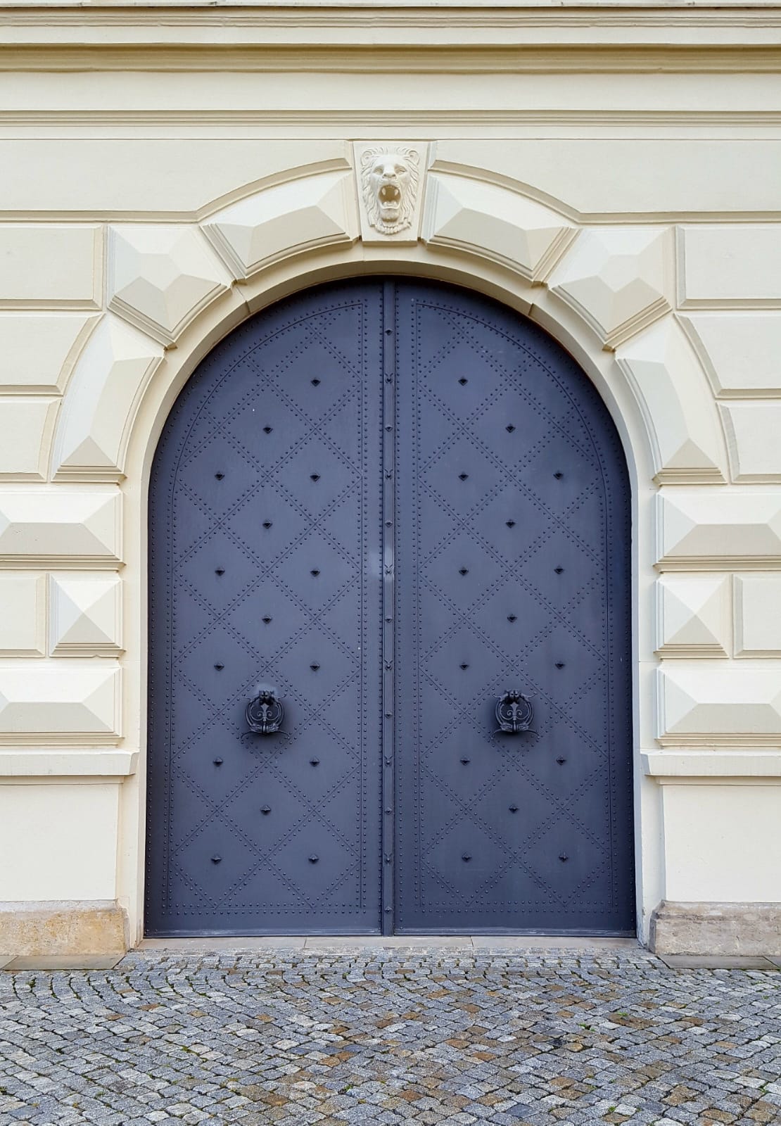Steel Doors